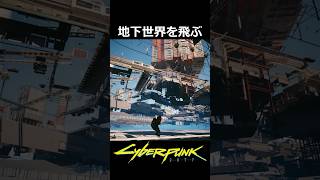 地下世界を飛ぶ：グリッチ