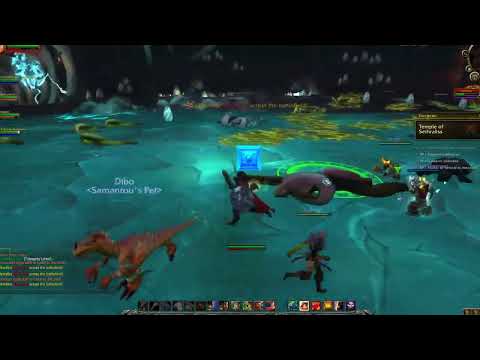 Dungeon - Temple of Sethraliss | TANKING Human Protection Warrior