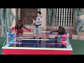 Amazing Orangutan Boxing Phnom Penh Safari World