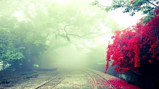 Erik Satie - Gymnopédie No.1 (8D Audio)