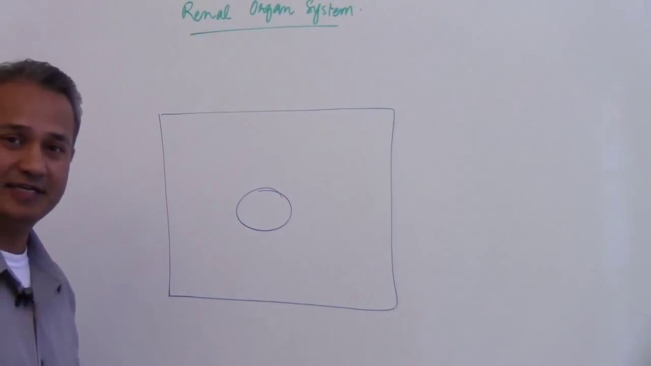 watch?v=IJ3UOY6Lv1g