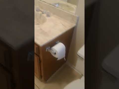 44444-2500 - Video 2 of 2
