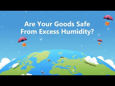 Solution of Shipment getting damaged | Sorbipaks