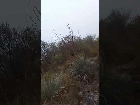 Serra do cristal, bom sucesso de Itararé sp, divisa com Paraná 