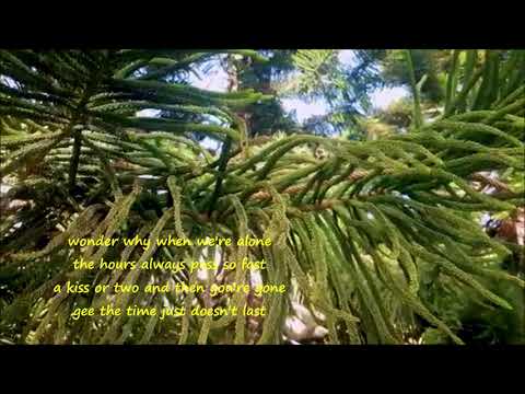 How The Time Flies Jerry Wallace 1958