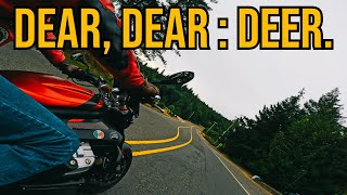 Darwin Was Wrong: Motorcycle Survival on Vancouver Island 🏍️