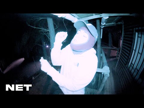 Noestemporada - Monarka