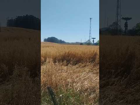 #turismo #viagem #coronelfreitas #santacatarina