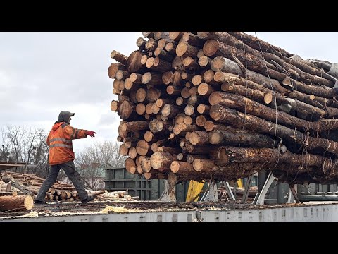 Extreme Risk Throughout the Wood Chips Shift.