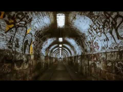 Fiberroot  -  Fashion Party