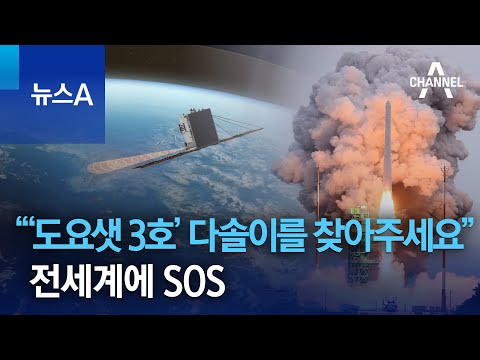 “‘도요샛 3호’ 다솔이를 찾아주세요” 전세계에 SOS