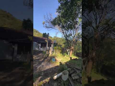 Sítio de 13 hectares à venda em Senador José Bento - MG.