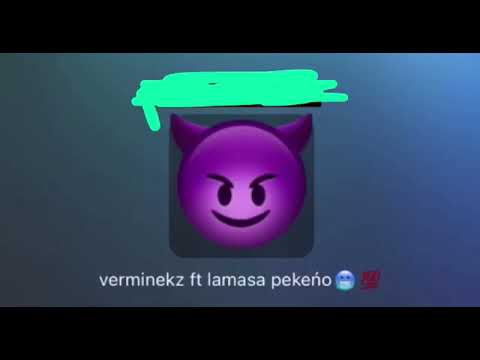 Verminekz X lamasa pekéńo