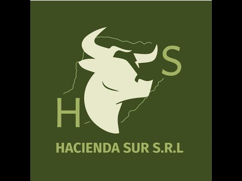 Remate de Hacienda general "Hacienda Sur" Jueves 4 de Diciembre 14:30hs Sauce Corrientes