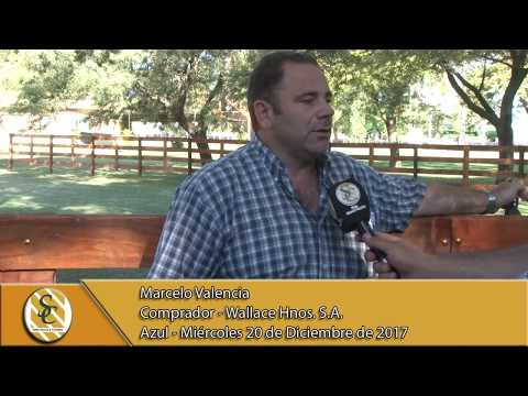 20-12-17 Nota Marcelo Valencia - Wallace Hnos. S.A. - Azul