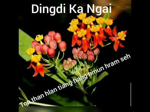 #ThawngBawiHla  #DingdikaNgaikaraoke  #guitartumcawnnak #cawnnak #laihla #chin