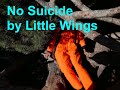 Little Wings - No Suicide (Official Video)