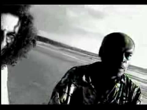 A GOZAR SABROSO - MIKI GONZALES