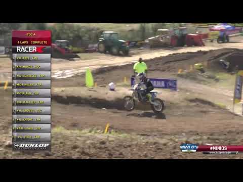 2019 Mini O's MX - 250 A