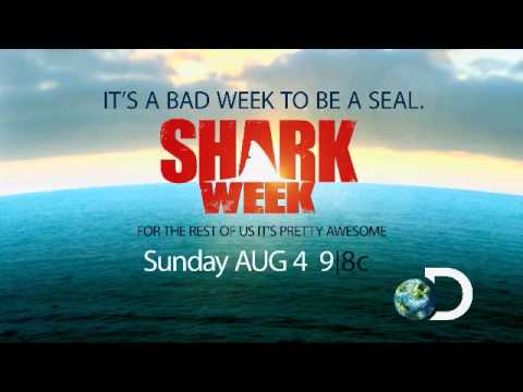 Shark Week Maritime Aquarium 2013