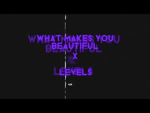 What Makes You Beautiful x Levels (Mashup)