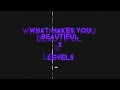 What Makes You Beautiful X Levels Mashup