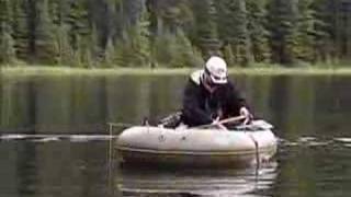 Theres gold in them hills