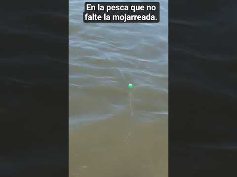 Pesca en Dolores -buenos Aires-argentina.