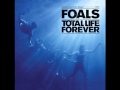 Foals - Black Gold 