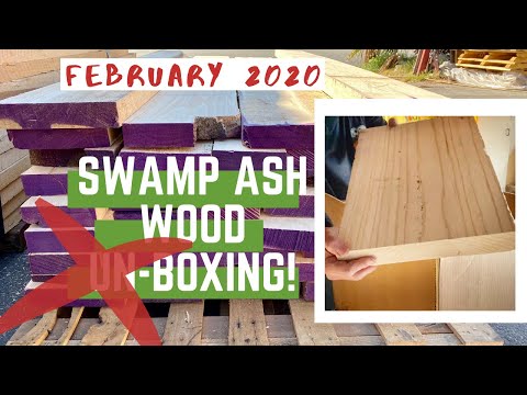 Swamp Ash Wood Supply