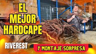 🔴 🪵 Como Elegimos Maderas en Riverest + Montaje Shallow 💎 (Sorpresa con subasta)