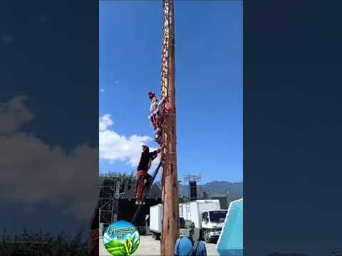 El Palo Volador desde Cubulco, Baja Verapaz.#Cubulco#palovolador #CostumbreYTradiciones#BajaVerapaz