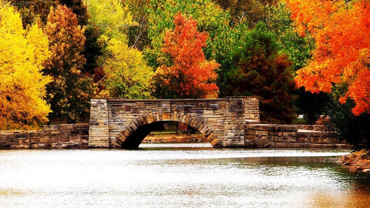 Halloween Fun 10-7-2019