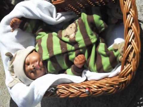 Baby Geno goes outside