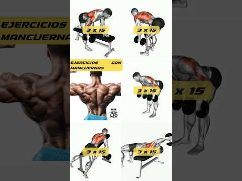 LOS MEJORES #EJERCICIOS DE #ESPALDA CON #MANCUERNAS | #gym #gymworkout
