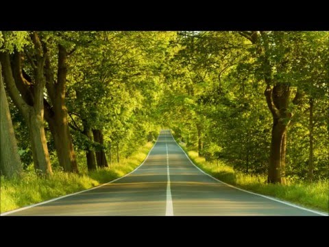 Catch (Ferry Corsten Vocal Remix) - Kosheen