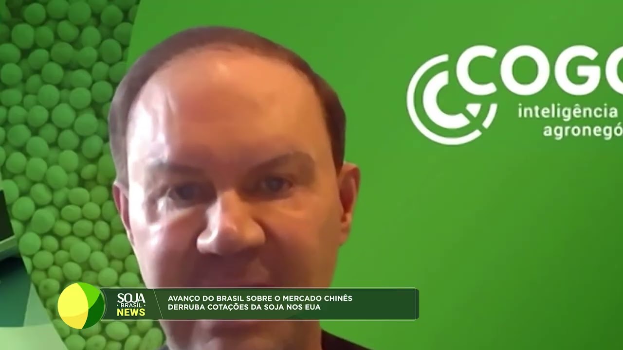 Avanço do Brasil no mercado chinês impacta cotações da soja nos EUA