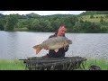 Топчета Hookbaits FilStar Premium Carp Big Fish 14/18mm