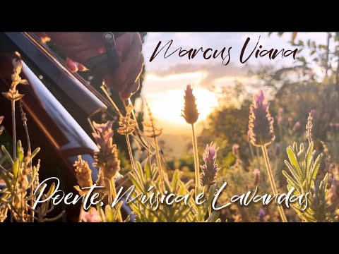 Marcus Viana - Poente, Música e Lavandas