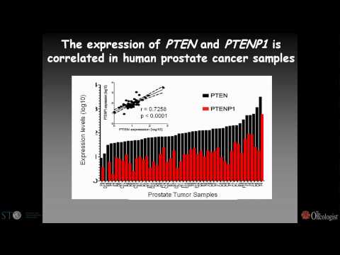 A Coding-Independent Function of Gene and Pseudogene mRNAs Regulates Tumor Biology