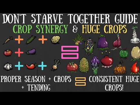 , title : 'Best Crop Combinations For BIG Crops - Don't Starve Together Guide [REAP WHAT YOU SOW UPDATE]