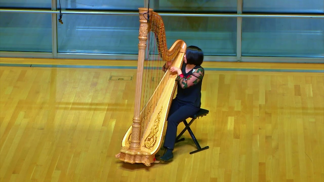 Promotional video thumbnail 3 for Harp Music