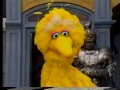 Sesame Street What S In The Giant Box