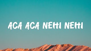 Download lagu Aca Aca Nehi Nehi l Lirik Lagu mp3