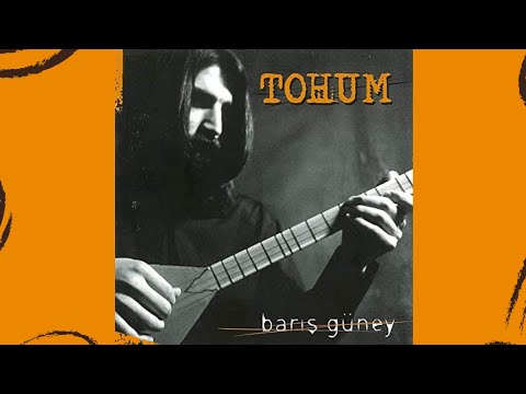 Barış Güney / Aklı Olan (2003)