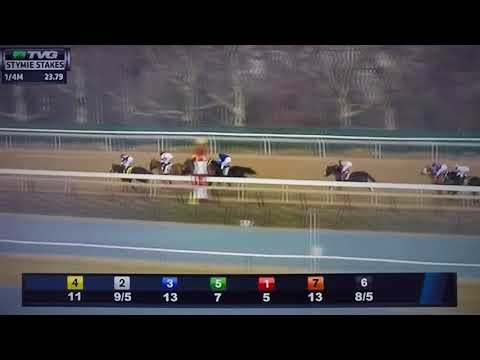 STYMIE (G STAKES) 3/10/18 - HARLAN PUNCH !!