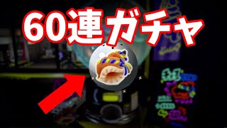 【全財産】60連ガチャで0.3%の大当たりGET！？【スプラトゥーン3】