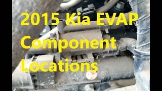 2011-2015 Kia Optima 2.4L EVAP Locations - Purge Valve Pressure Sensor Charcoal Canister Vent Valve