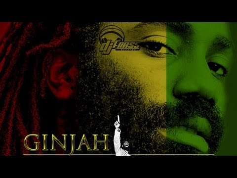 Ginjah - Double Standard [Cane River Riddim] January 2014