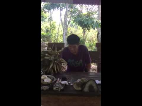 Ayahuasca Icaro- Don  Fransisco Montes Shuña